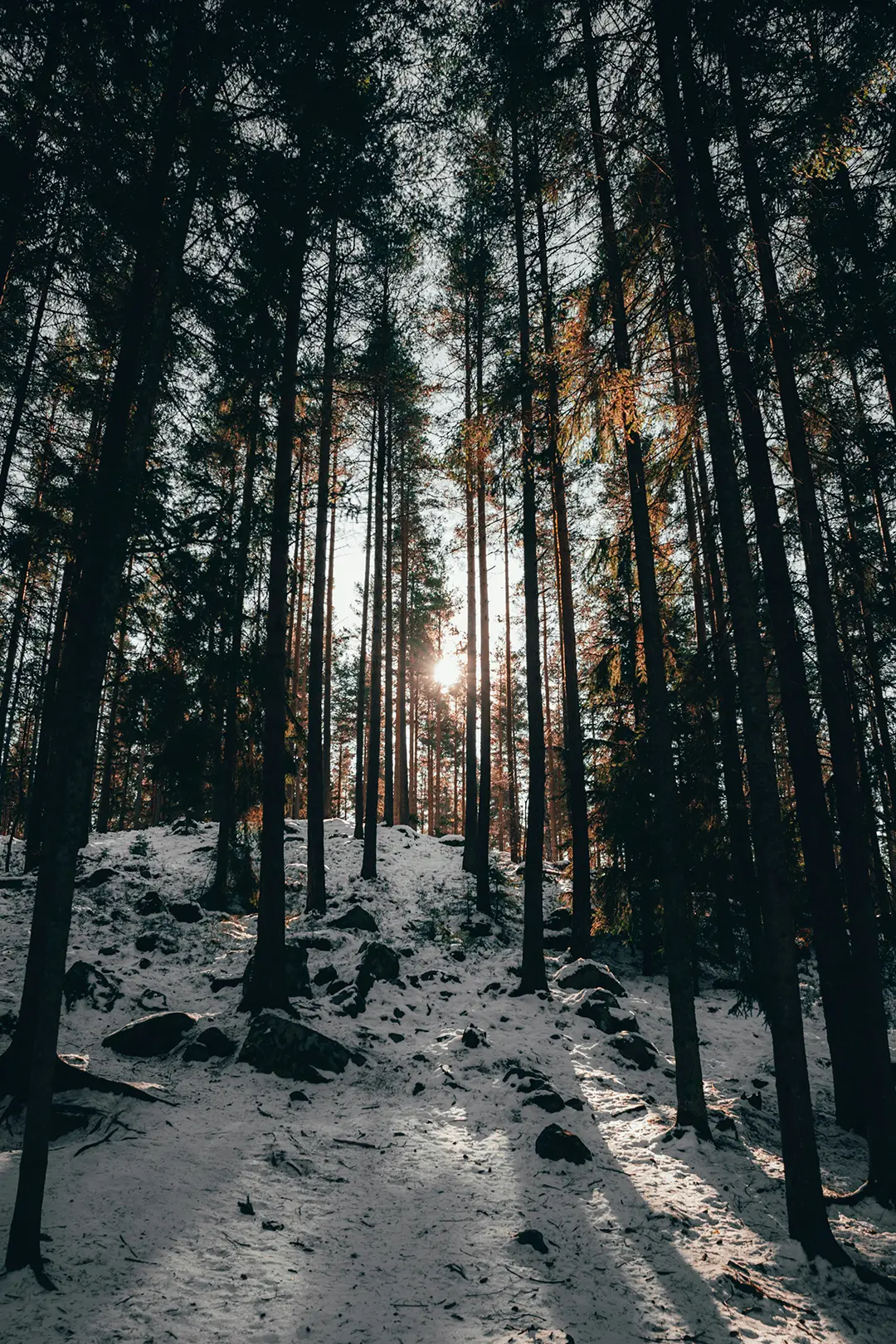 Flyttstädning i Växjö